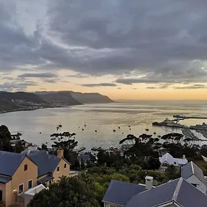 Albatross Simonʼs Town