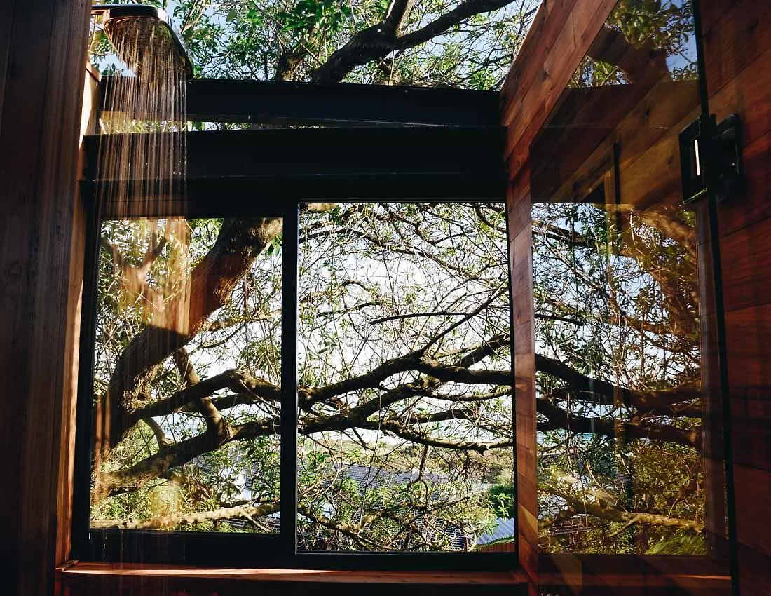 Synergy Treehouse Villa Simon's Town South Africa